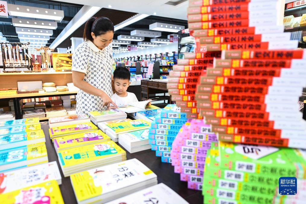 新宝6集团系列